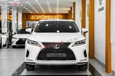 Xe Lexus RX 300 2022