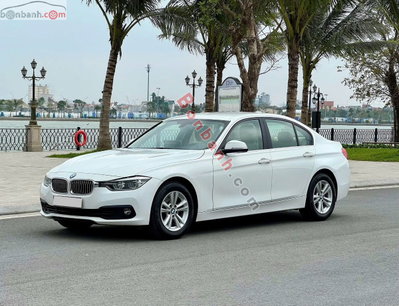 Xe BMW 3 Series 320i 2015