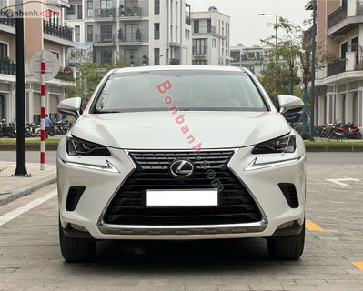 Xe Lexus NX 300 2018