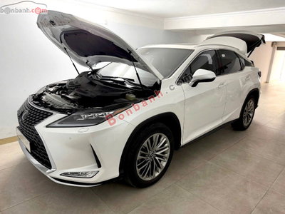 Xe Lexus RX 350 2021