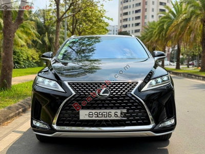 Xe Lexus RX 300 2019