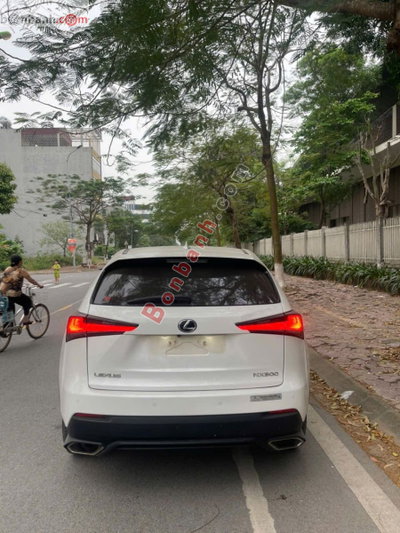 Xe Lexus NX 300 2019