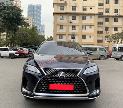 Xe Lexus RX 300 2020