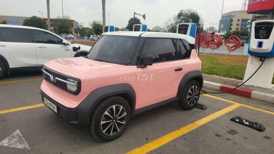 Xe điện VinFast VF3 2025 Hồng
