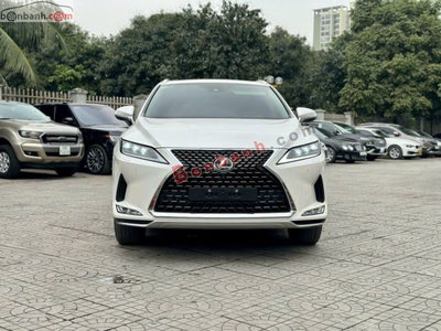 Xe Lexus RX 350 2019