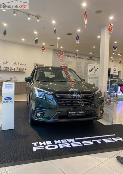 Xe Subaru Forester 2.0i-L EyeSight 2024