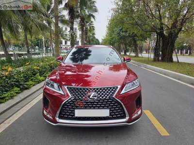 Xe Lexus RX 300 2022