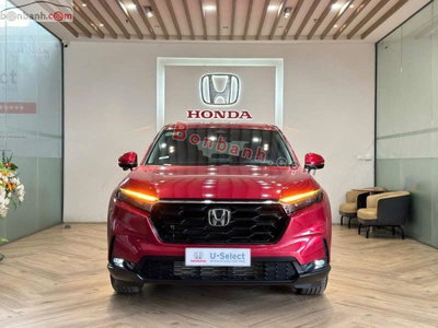 Xe Honda CRV L 2024