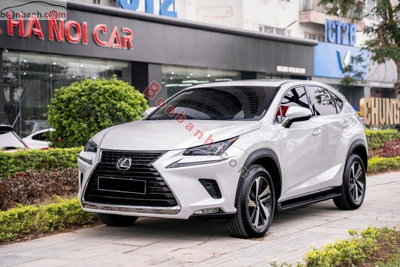 Xe Lexus NX 300 2018
