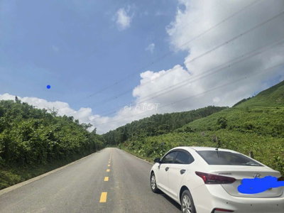 Hyundai Accent màu Trắng