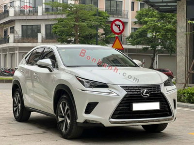 Xe Lexus NX 300 2017