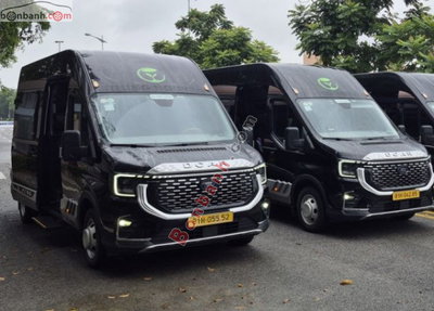 Xe Ford Transit Limousine 12S 2025