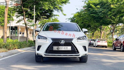 Xe Lexus NX 300 2019