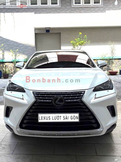 Xe Lexus NX 300 2020