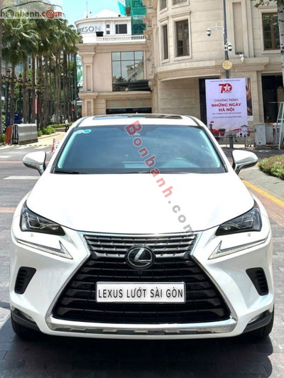 Xe Lexus NX 300 2020