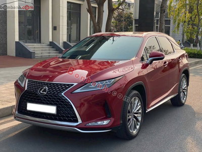 Xe Lexus RX 300 2021