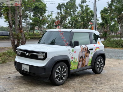 Xe VinFast VF3 Plus 2024