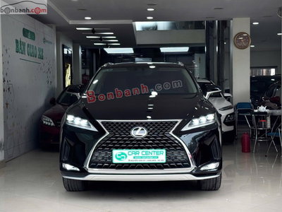Xe Lexus RX 300 2019