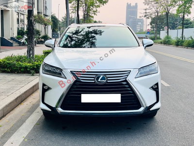 Xe Lexus RX 300 2019