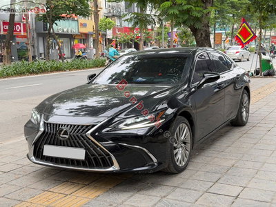 Xe Lexus ES 250 2022
