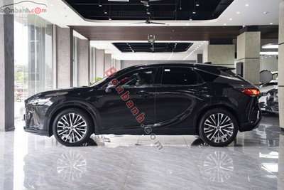 Xe Lexus RX 350 Premium 2023