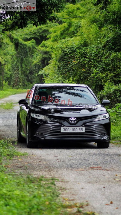 Xe Toyota Camry 2.5Q 2019