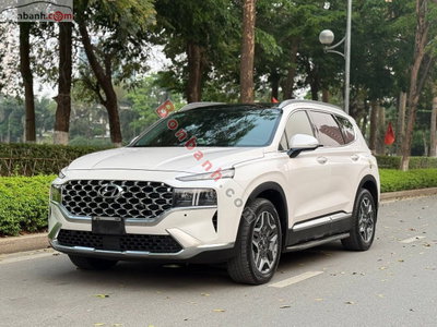 Xe Hyundai SantaFe 2.2D Premium 2024