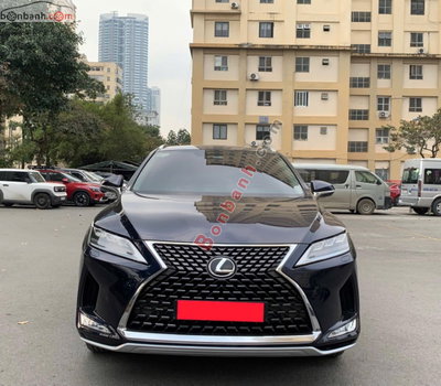 Xe Lexus RX 300 2020