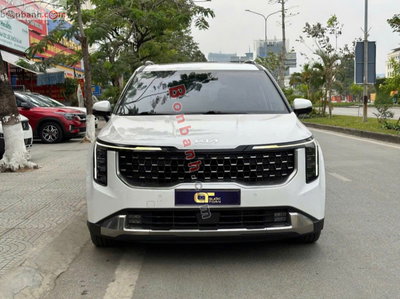 Xe Kia Carnival Signature 2.2D 2024