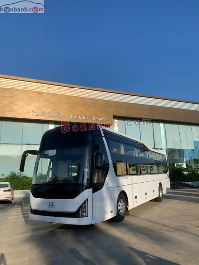 Xe Hyundai Mobistar 34 giường 2024
