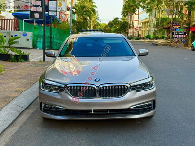 Xe BMW 5 Series 530i 2019