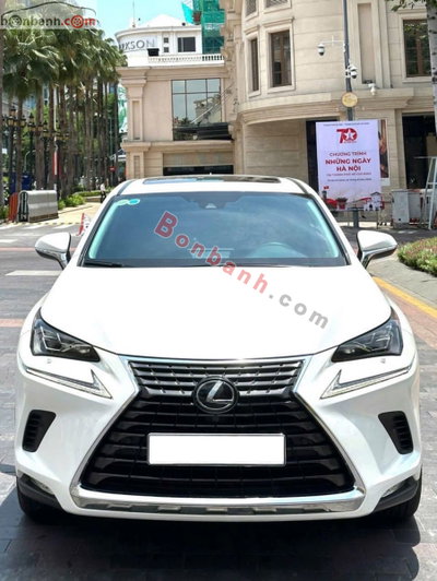 Xe Lexus NX 300 2020