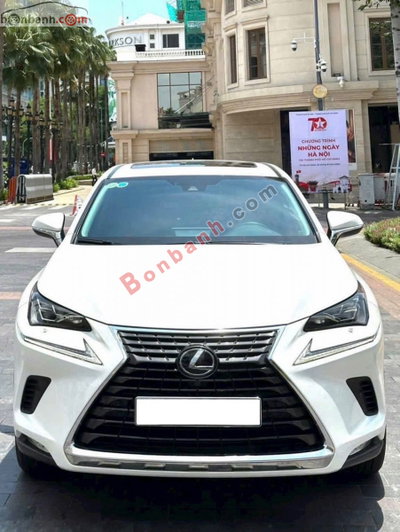 Xe Lexus NX 300 2020