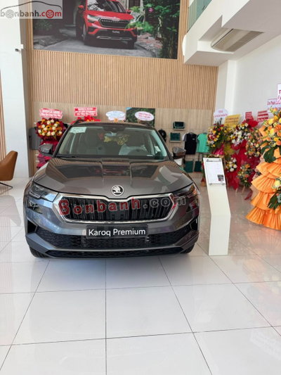 Xe Skoda Karoq Premium 1.4 AT 2025