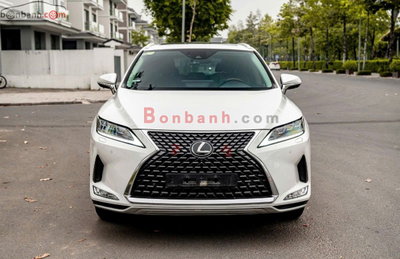 Xe Lexus RX 300 2019