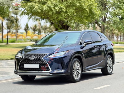Xe Lexus RX 300 2020