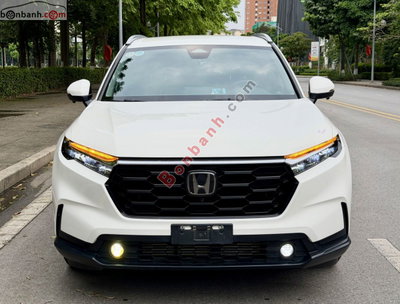 Xe Honda CRV G 2024