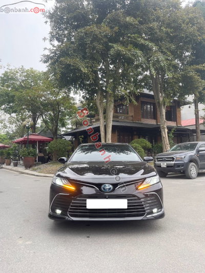 Xe Toyota Camry 2.5HV 2022