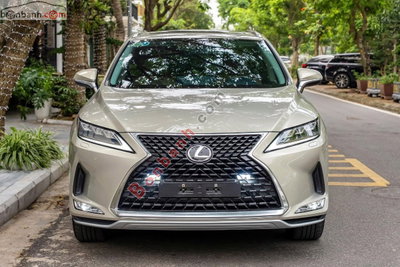 Xe Lexus RX 300 2021