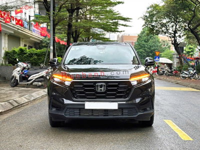 Xe Honda CRV L 2024