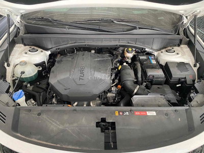 Kia Sorento CRDi Signature 2022 Trắng