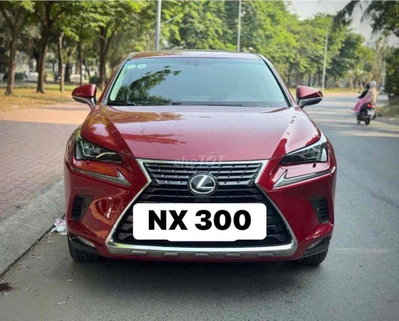 Lexus NX 300 2019 Đỏ 72136 km