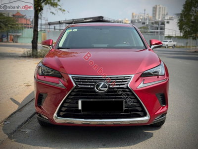 Xe Lexus NX 300 2019
