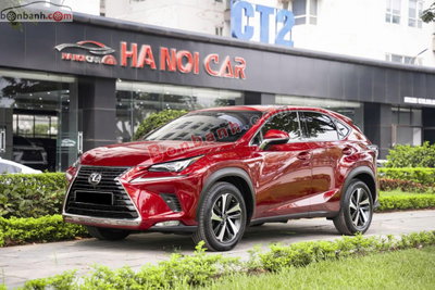 Xe Lexus NX 300 2019