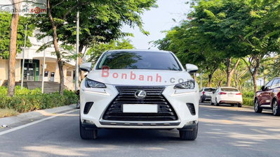 Xe Lexus NX 300 2019