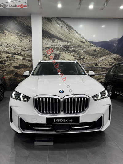 Xe BMW X5 xDrive40i xLine 2023