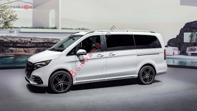Xe Mercedes Benz V class V300 AMG 2026