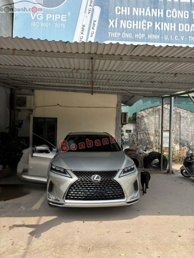 Xe Lexus RX 300 2021