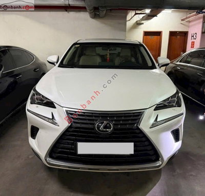 Xe Lexus NX 300 2018