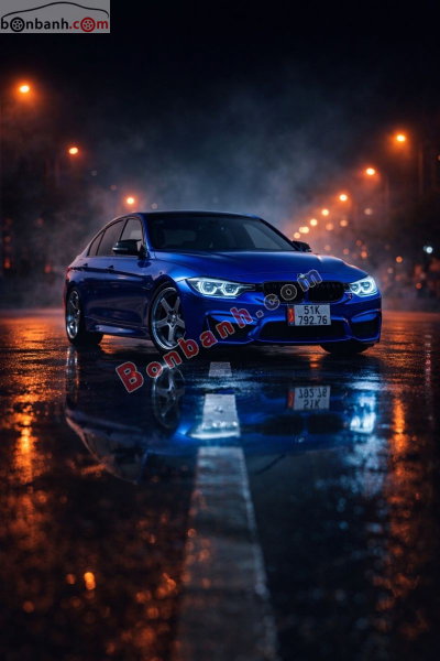 Xe BMW 3 Series 320i 2012